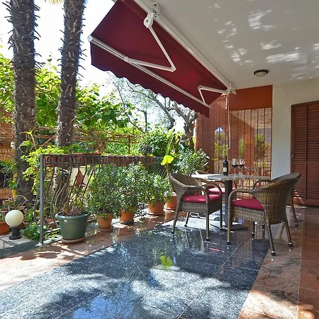 Cocaletto 1047 ロヴィニ